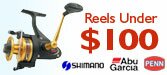 Fishing reels under $100!